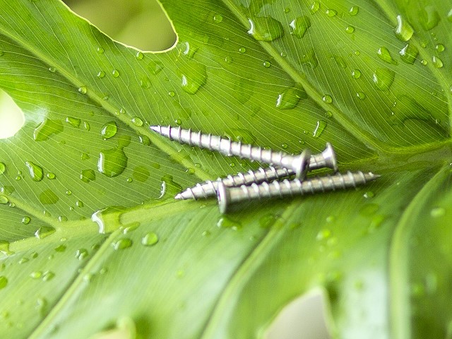 Triplehard stainless screw