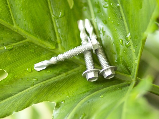 Hurricane self drilling screw
