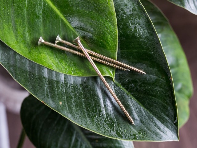 Chipboard Screw