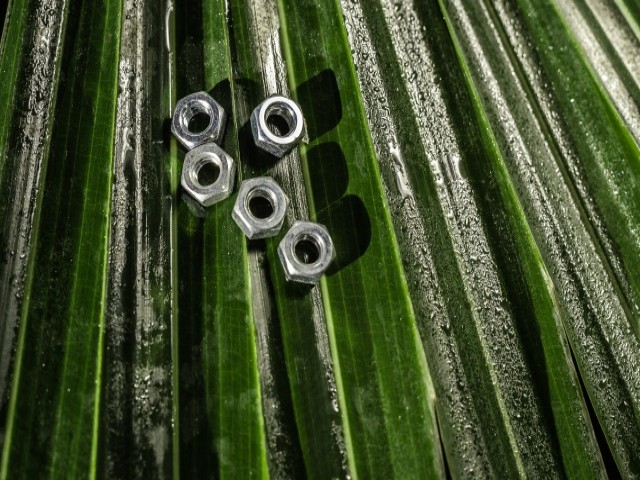 Hex Nut