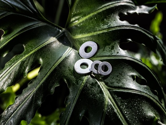 Flat Washer
