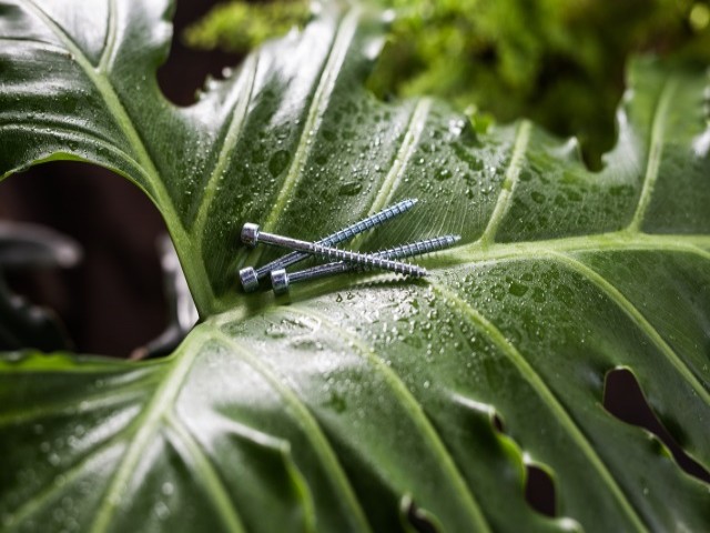 Customized Screw