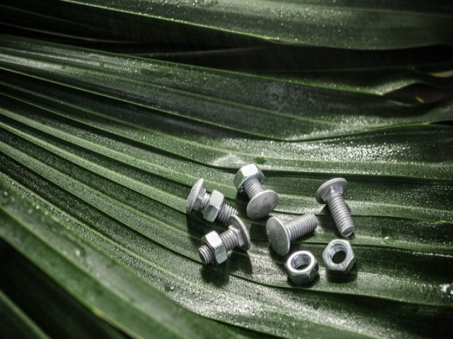 Customized Screw