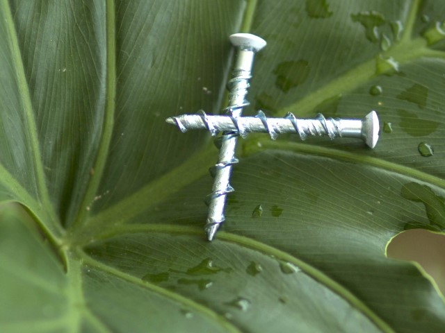 screw